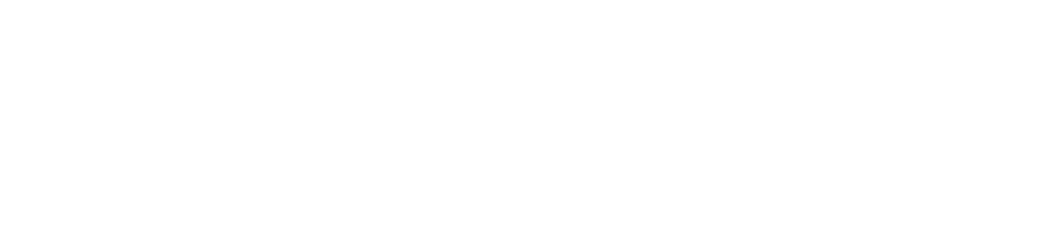 nOvNiv Logo